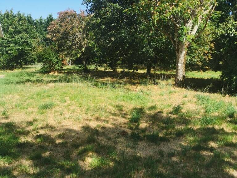 Terrain à bâtir à Roaillan (33210) — photo 1