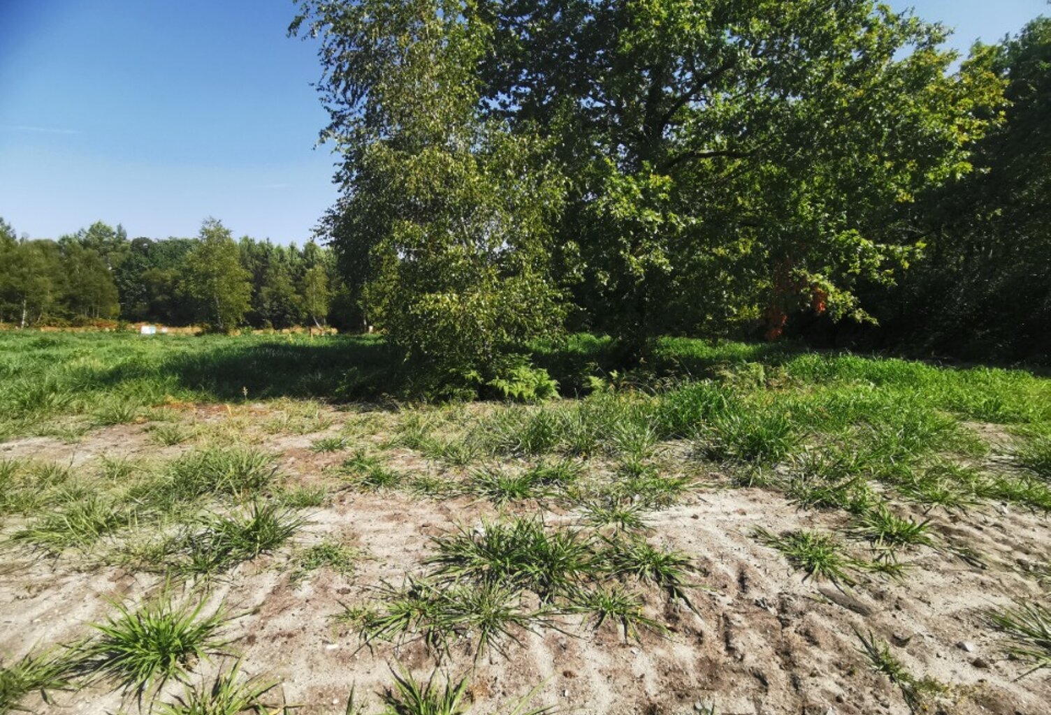 Terrain à bâtir à Mios (33380) — photo 1