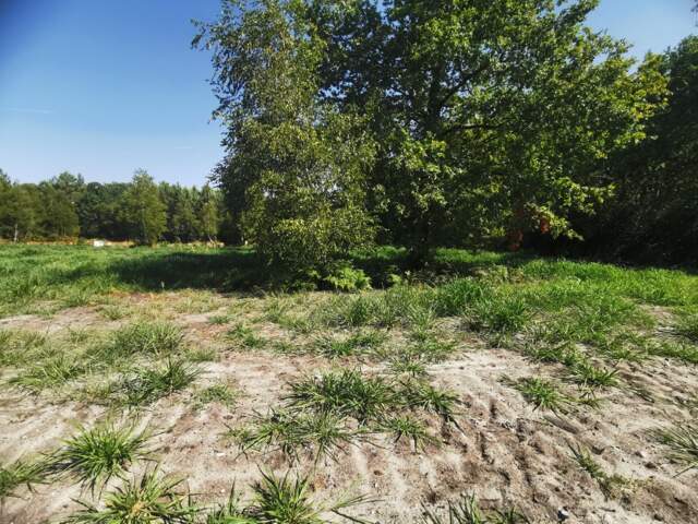 Terrain à bâtir à Mios (33380) — photo du bien