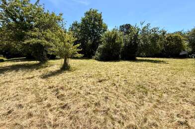 Terrain  33000 €