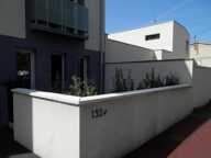 T3 — photo 2