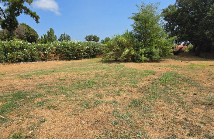 Maison à vendre 6 pièces de 135m² sur 1.000m² de terrain BIGUGLIA (20) — photo 4