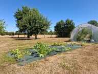 Jolie longère authentique + 170 m2 , sans aucun vis à vis au bord du Perche, entre campagne et forets,  avec dépendance, buchet et cellier, jardin arboré — photo 2