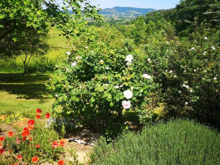 Belle demeure de caractère de 6 pièces de 210 m² à Mazille — photo 1