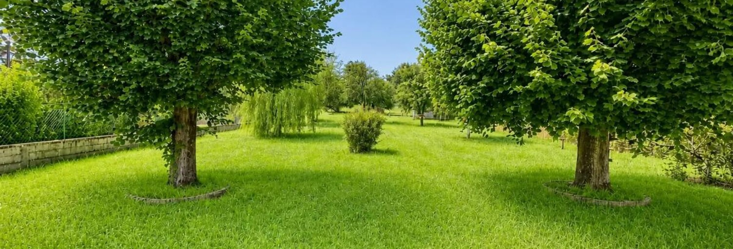 Maison 7 Pièces 155 m² à vendre à Saint-Pierre-lès-Nemours (77140)