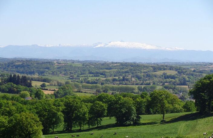 Villa d'architecte 162 m2, 2 ha terrain et bois — photo 2