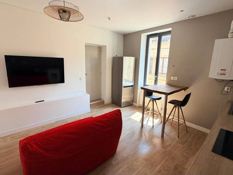 Appartement Saint Etienne 3 pièce(s) 45 m2 — photo 1