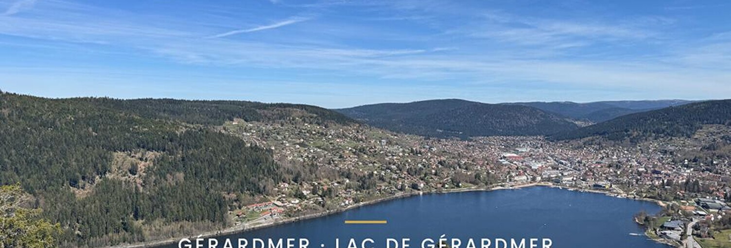 Maison 20 Pièces 557 m² à vendre à Xonrupt-Longemer (88400)