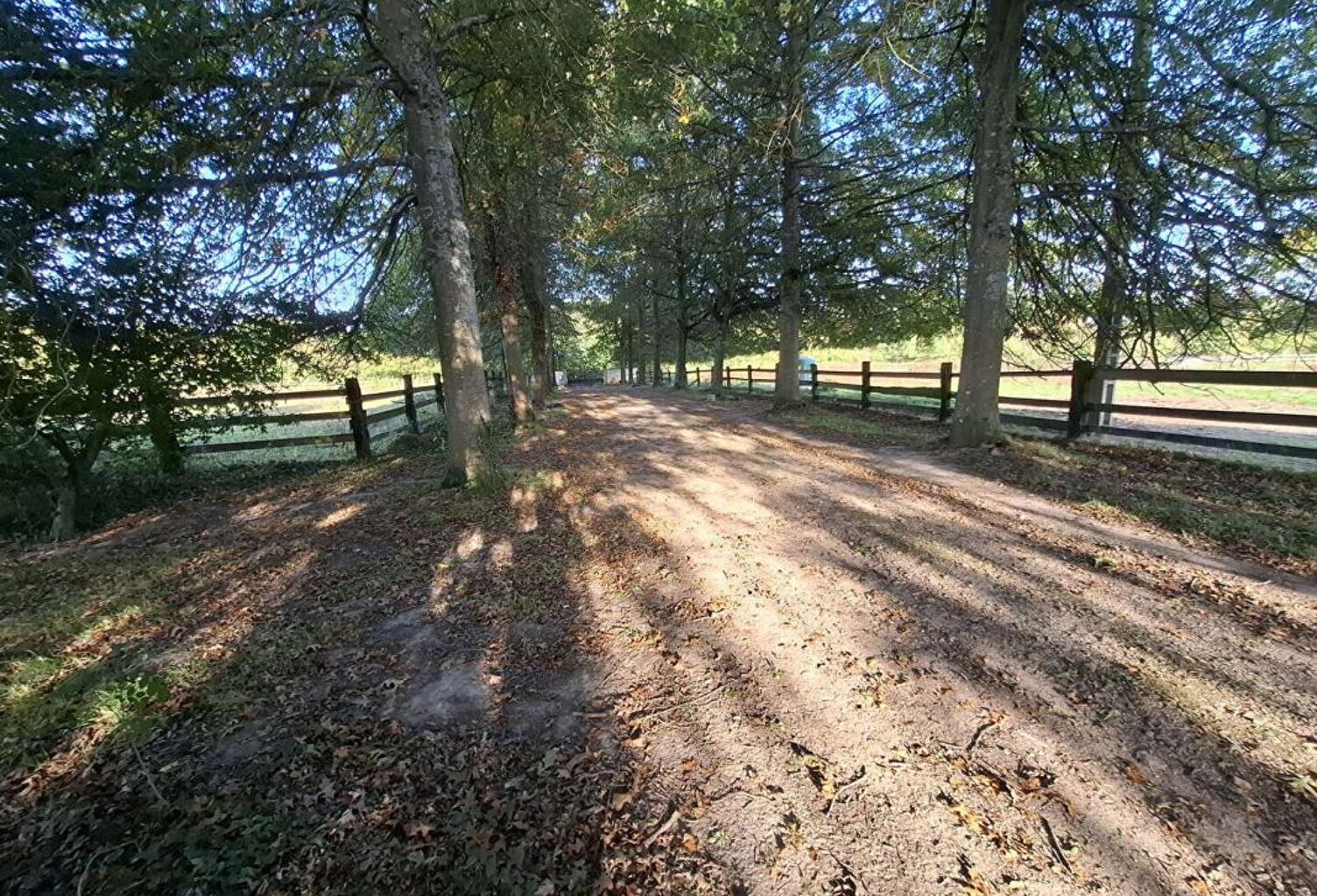 Propriété équestre Proche Mortagne Au Perche 195 m2  avec 30 hectares de terrain — photo 1