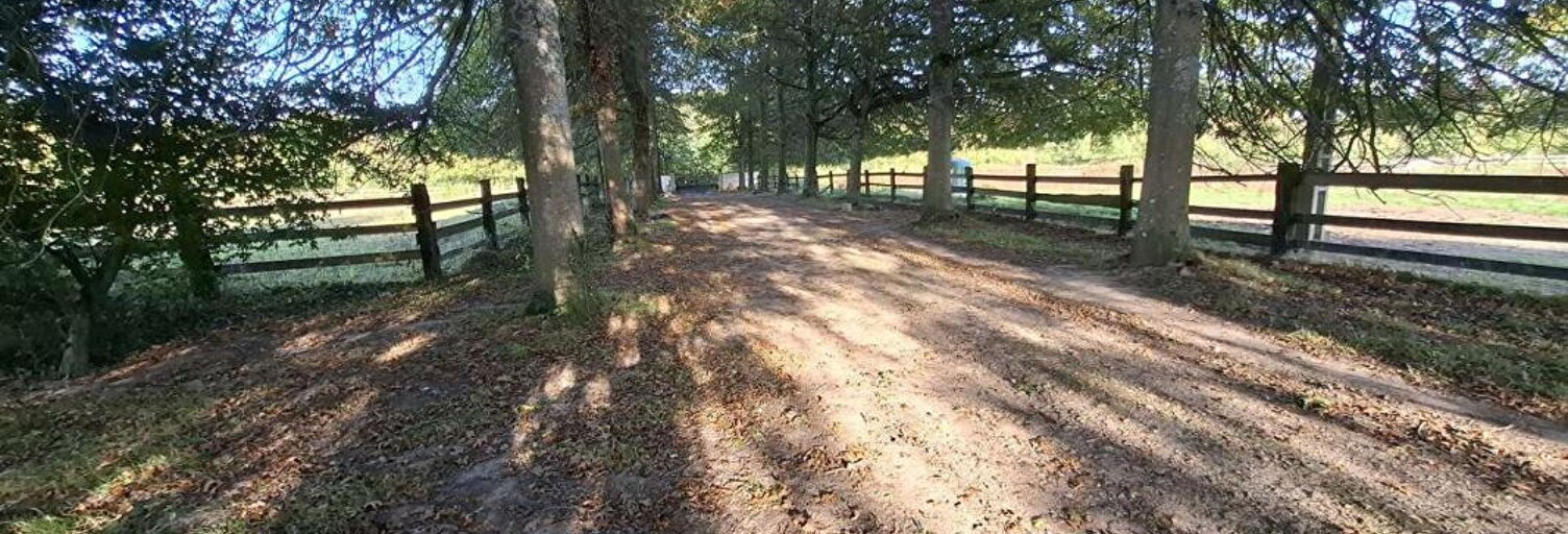 Maison 11 Pièces 195 m² à vendre à Mortagne-au-Perche (61400)