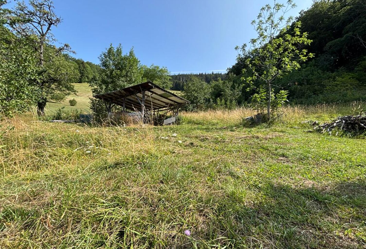 CHEVENOZ Terrain constructible calme 792 m2 (74500) — photo 1