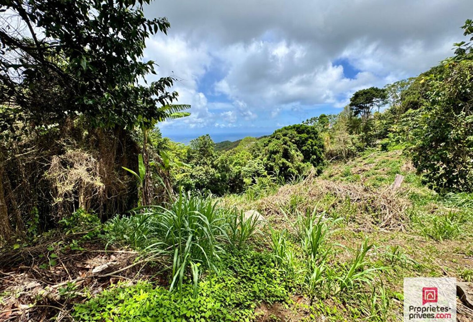 NOUVEAUTE- TERRAIN CONSTRUCTIBLE 2 480 M² - VUE MER -SAINTE-LUCE — photo 1