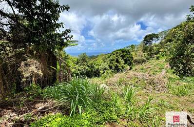 NOUVEAUTE- TERRAIN CONSTRUCTIBLE 2 480 M² - VUE MER -SAINTE-LUCE — photo du bien