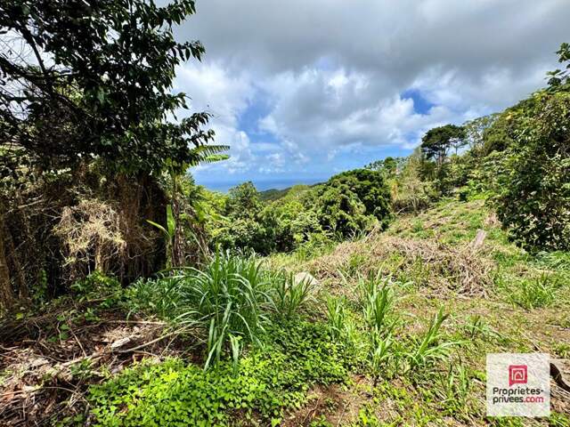 NOUVEAUTE- TERRAIN CONSTRUCTIBLE 2 480 M² - VUE MER -SAINTE-LUCE — photo du bien