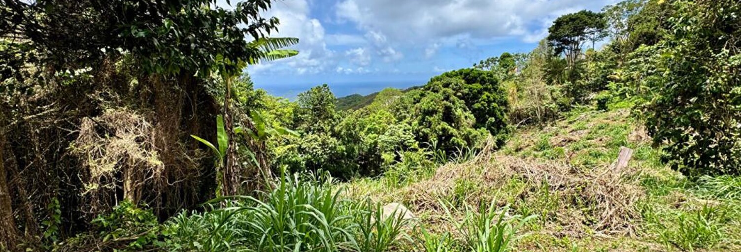 Terrain  2480 m² à vendre à Sainte-Luce (97228)