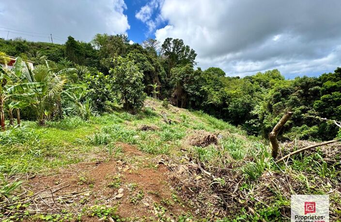 NOUVEAUTE- TERRAIN CONSTRUCTIBLE 2 480 M² - VUE MER -SAINTE-LUCE — photo 2