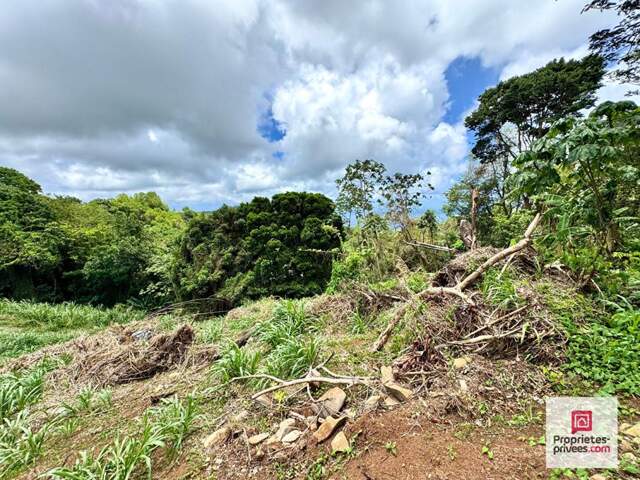 NOUVEAUTÉ - TERRAIN CONSTRUCTIBLE 3 250 M² - VUE MER - SAINTE-LUCE — photo du bien