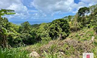 Terrain  5730 m² à vendre à Sainte-Luce (97228)
