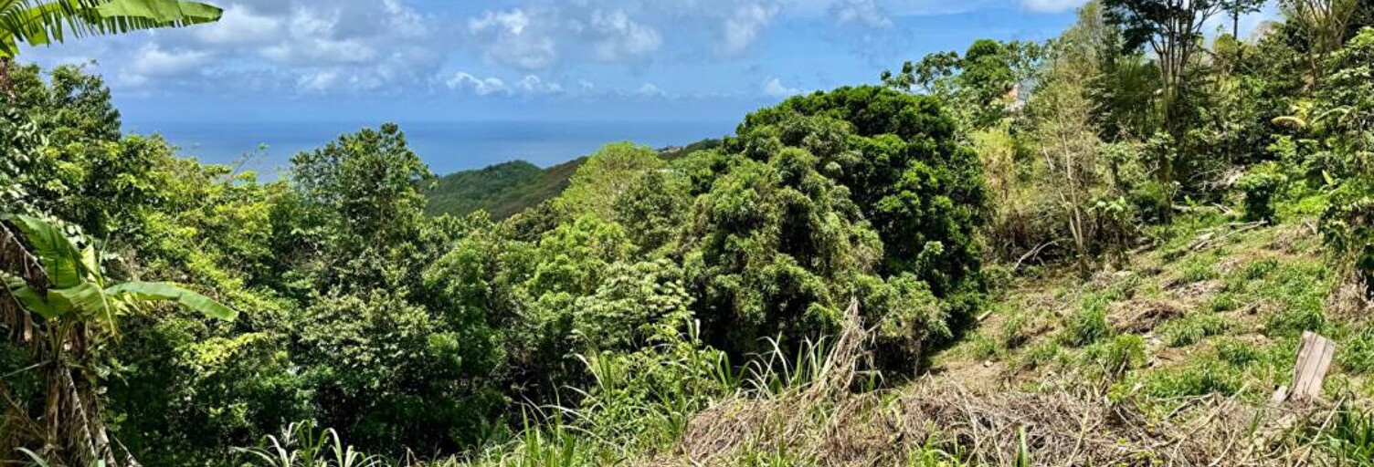Terrain  5730 m² à vendre à Sainte-Luce (97228)