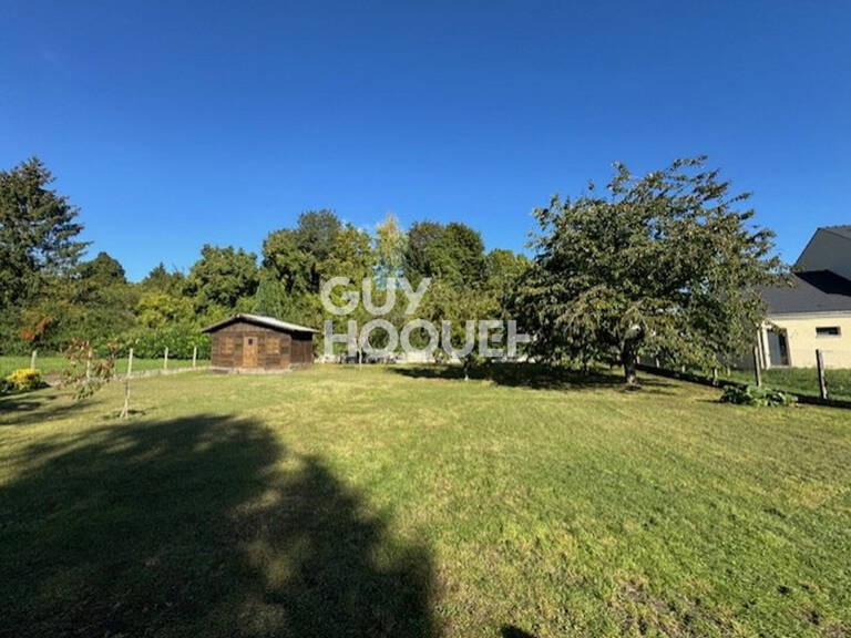 terrain — photo 1