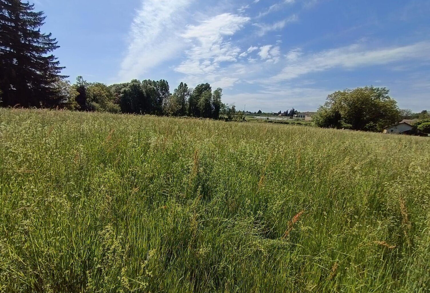 Terrain à bâtir bien situé — photo 1