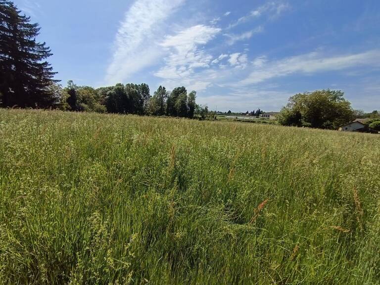 Terrain à bâtir bien situé — photo 1