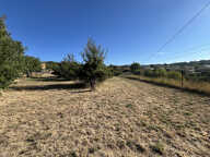 Terrain Apt 1299m2 — photo 3