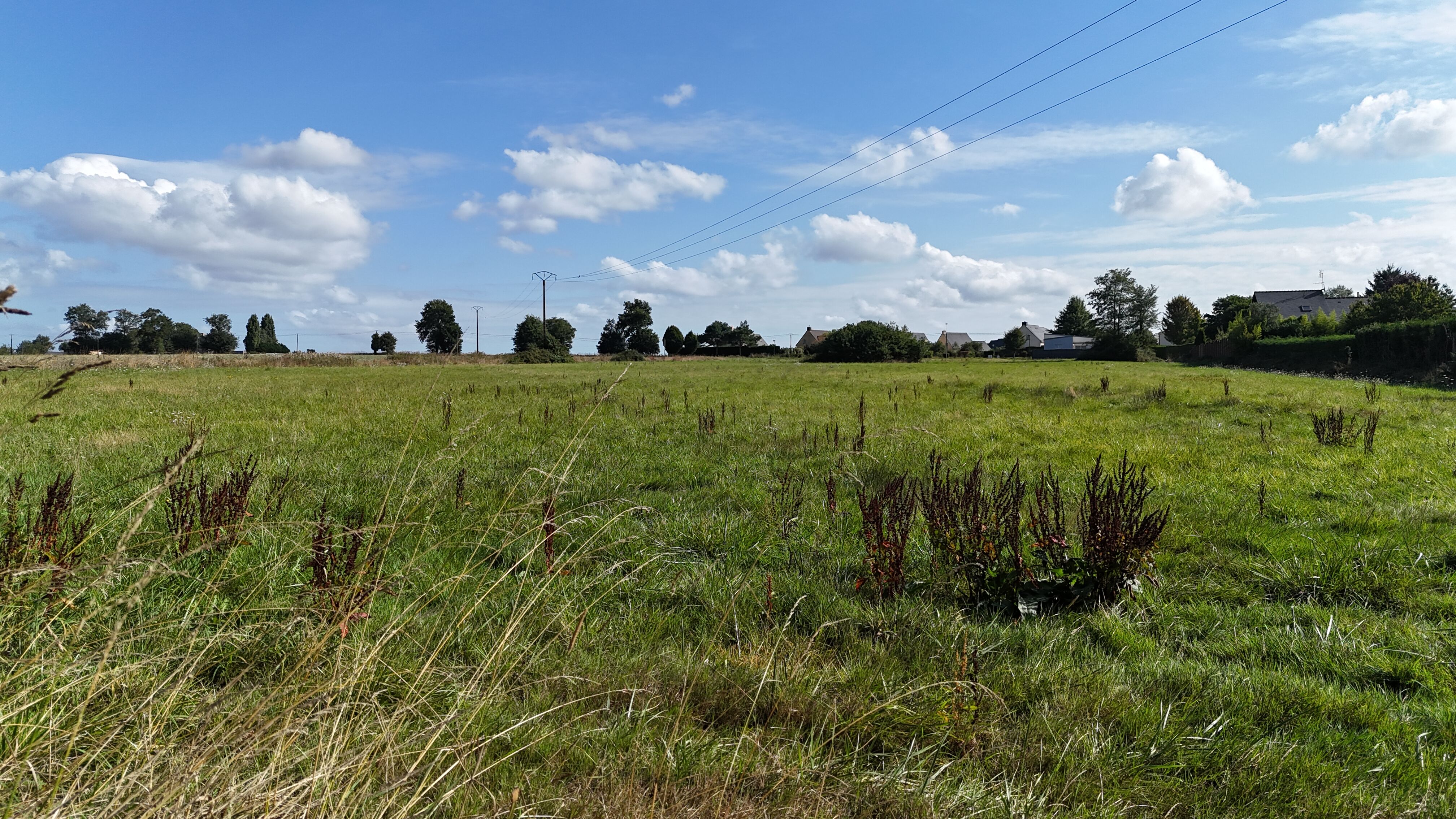 Terrain à vendre, libre de constructeur