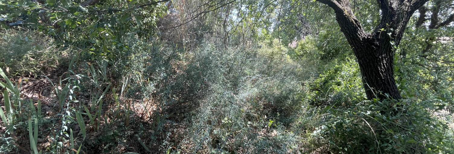Terrain  380 m² à vendre à Caux (34720)