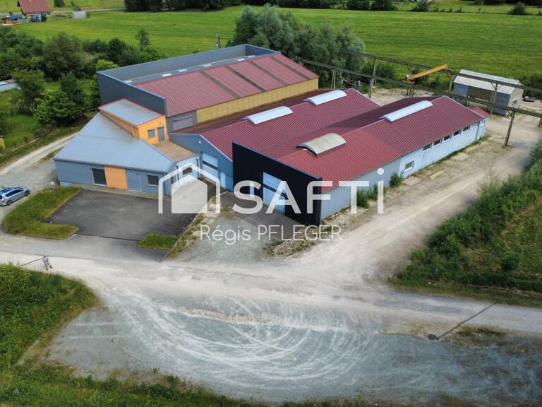 Grand Bâtiment Industriel/Artisanal avec bureaux — photo 1
