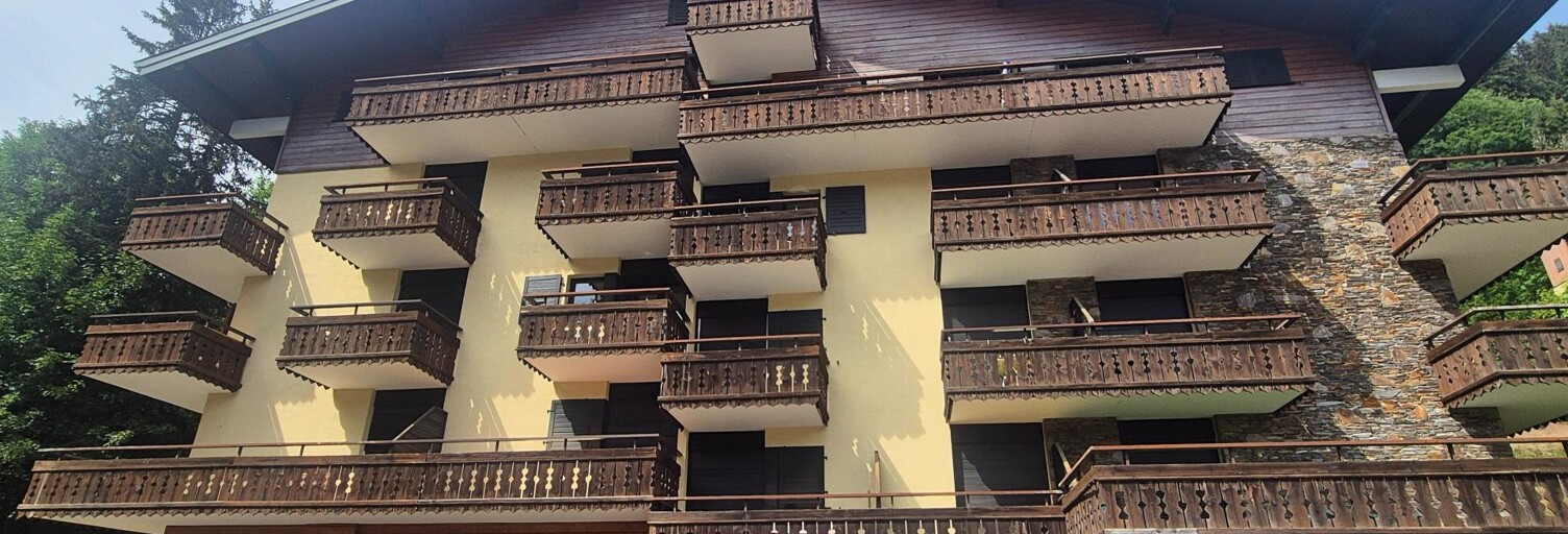 Appartement 2 Pièces 28 m² à vendre à Châtel (74390)
