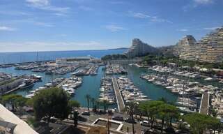 Appartement 1 Pièce 39 m² à vendre à Villeneuve-Loubet (06270)