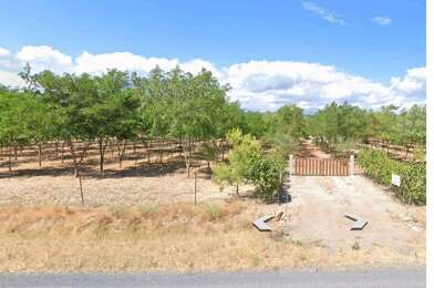 Terrain  56000 €