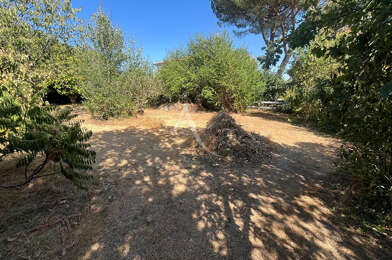Terrain  50000 €