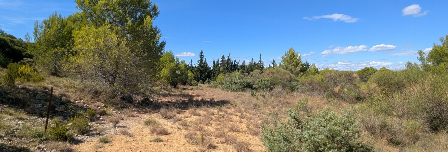 Terrain  12574 m² à vendre à Saint-Pargoire (34230)