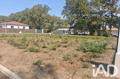 Terrain  74000 €