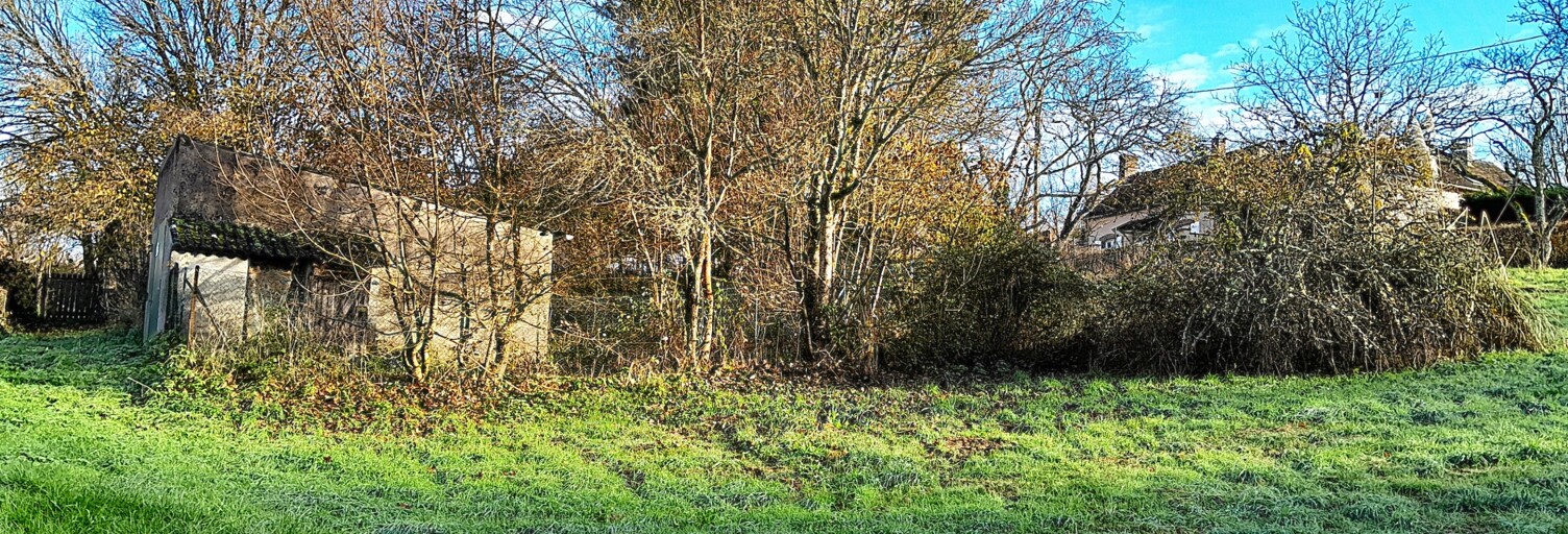 Photo N° 2