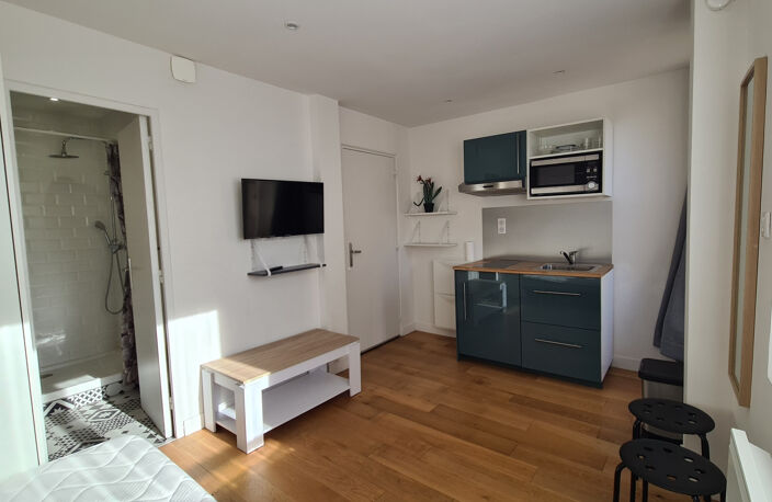 STUDIO TOUT EQUIPÉ QUARTIER ST MICHEL — photo 2