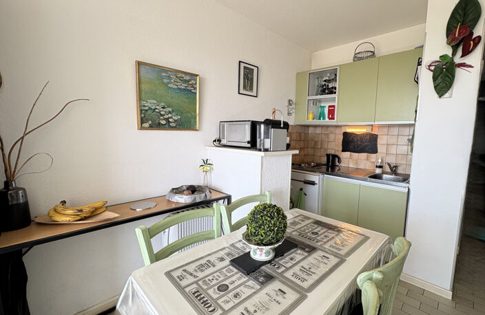 Appartement T1  traversant SH 25 M2  avec loggia et  parking — photo 3