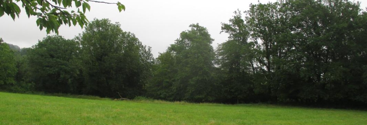 Terrain  2507 m² à vendre à Tamniès (24620)