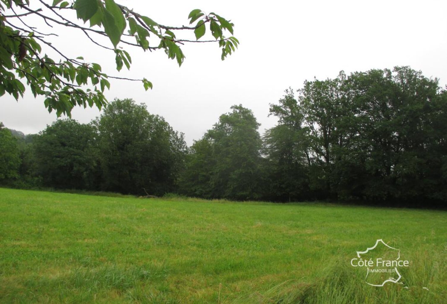 DORDOGNE- TAMNIES- TERRAIN A BATIR — photo 1