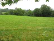 DORDOGNE- TAMNIES- TERRAIN A BATIR — photo 3