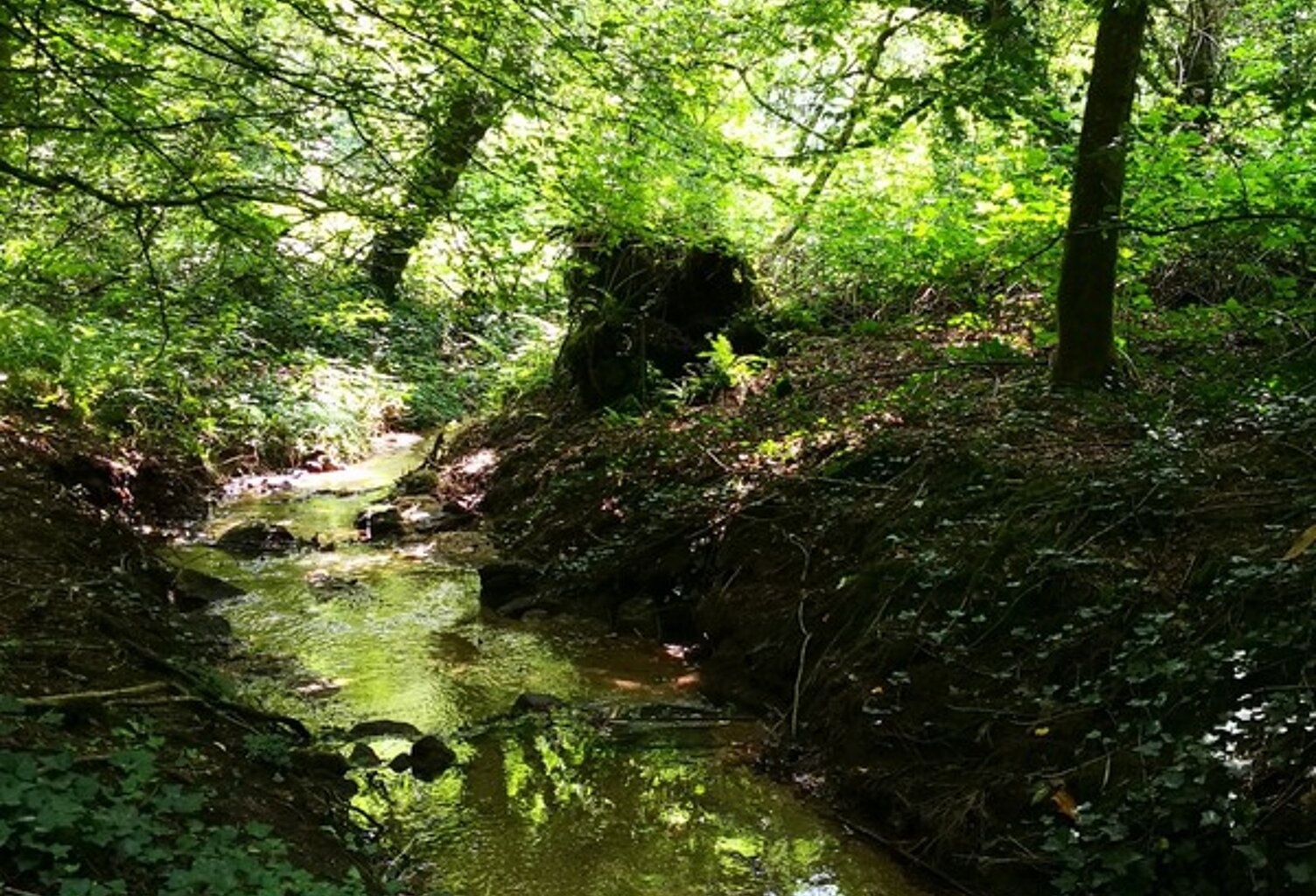 cadre bucolique pour ce domaine compose de 3 maisons sur 15 000 m2 — photo 1