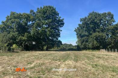 Terrain  65000 €