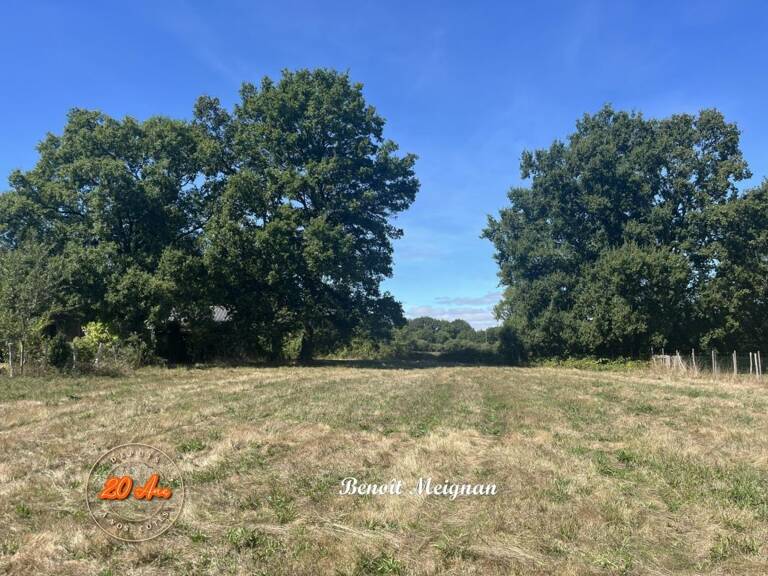Terrain à constructible de 1 537m² – Division possible – Plessé — photo 1
