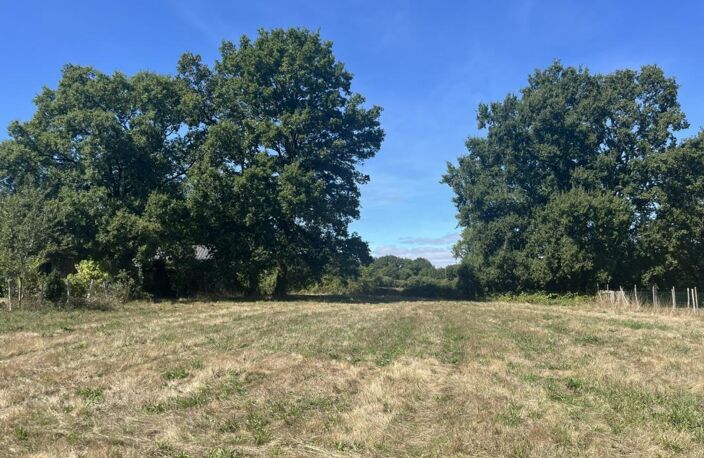 Terrain à constructible de 1 537m² – Division possible – Plessé — photo 3