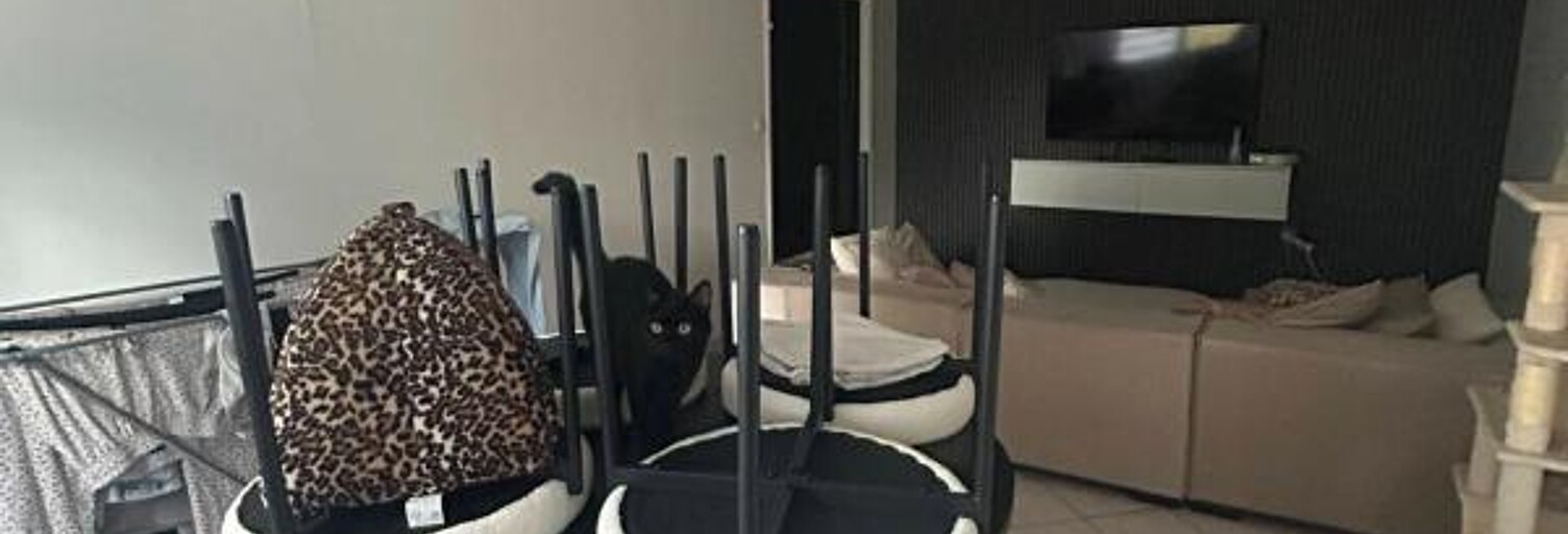 Appartement 4 Pièces 63 m² à vendre à Le Havre (76610)