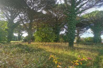Terrain  150000 €
