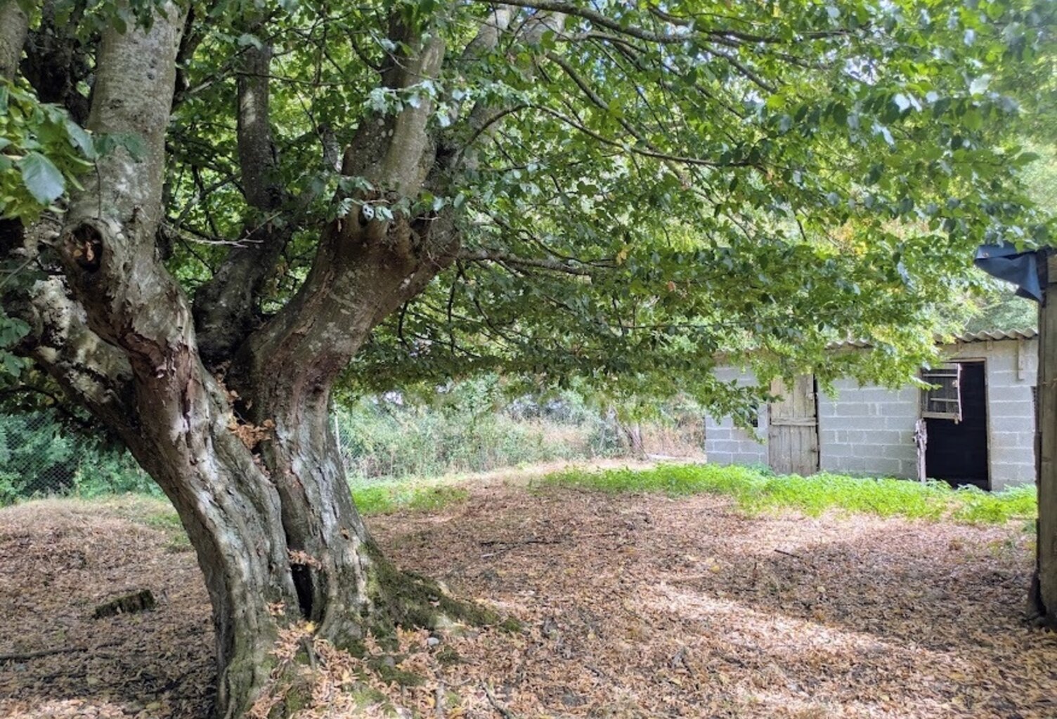 LONGÈRE À RÉNOVER – NOMBREUSES DÉPENDANCES – 3 760 M² DE TERRAIN-ENTRE POIX DE PICARDIE ET AUMALE — photo 1