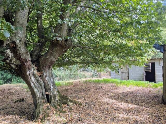 LONGÈRE À RÉNOVER – NOMBREUSES DÉPENDANCES – 3 760 M² DE TERRAIN-ENTRE POIX DE PICARDIE ET AUMALE — photo du bien